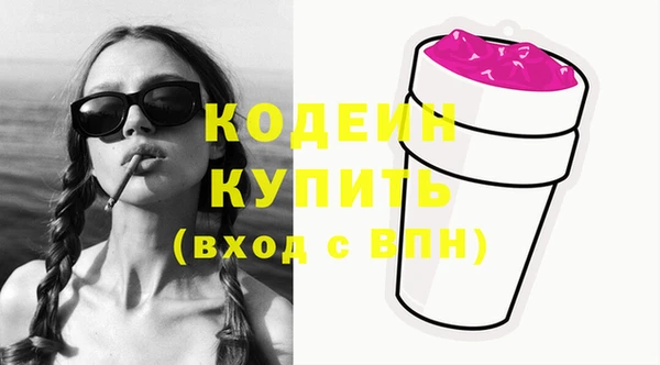 спиды Вяземский