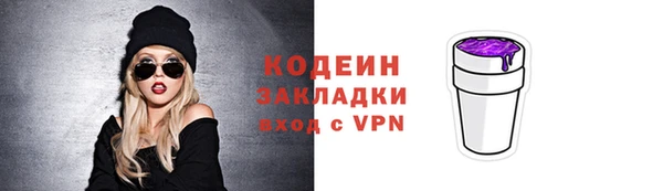 спиды Вяземский