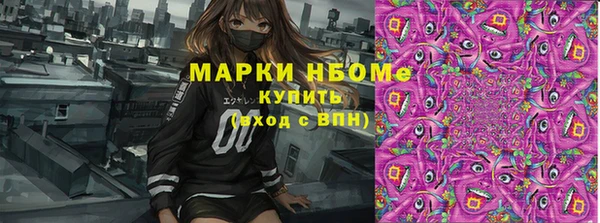 спиды Вяземский