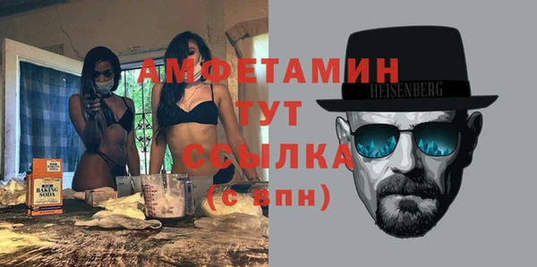 спиды Вяземский