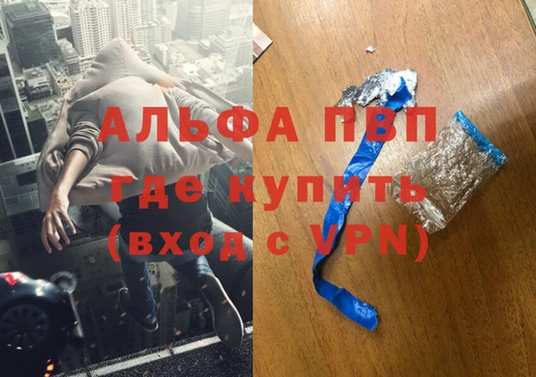 спиды Вяземский
